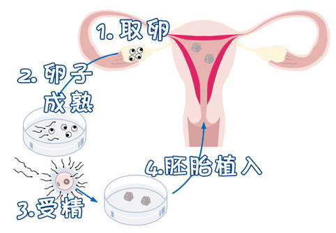 周医師